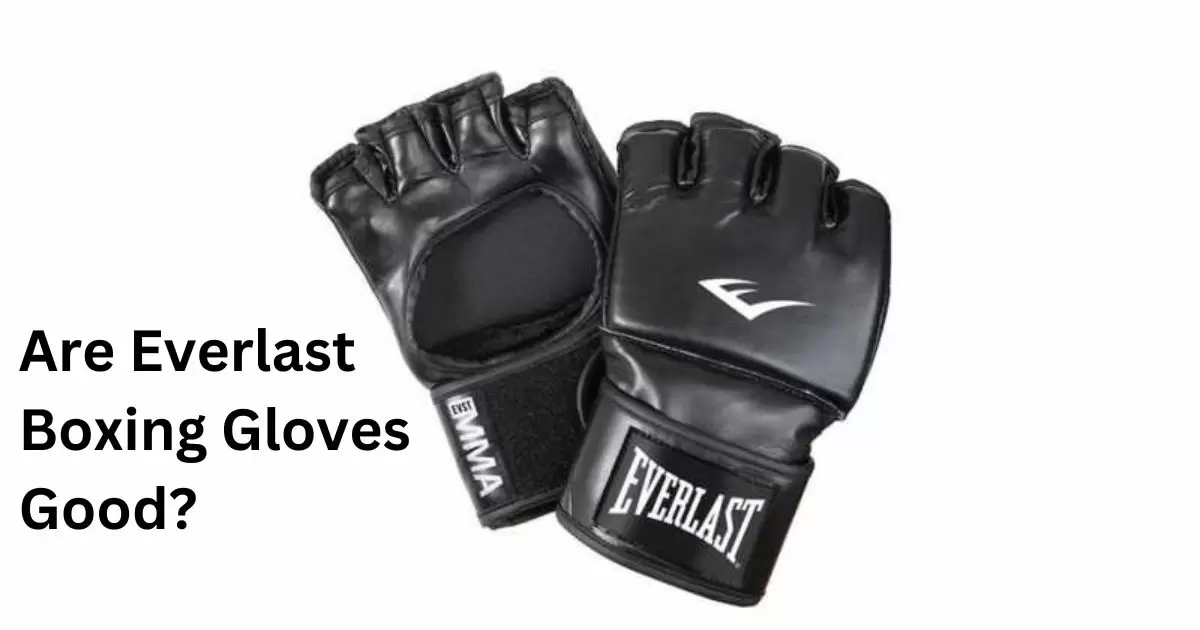 Are Everlast Boxing Gloves Good?