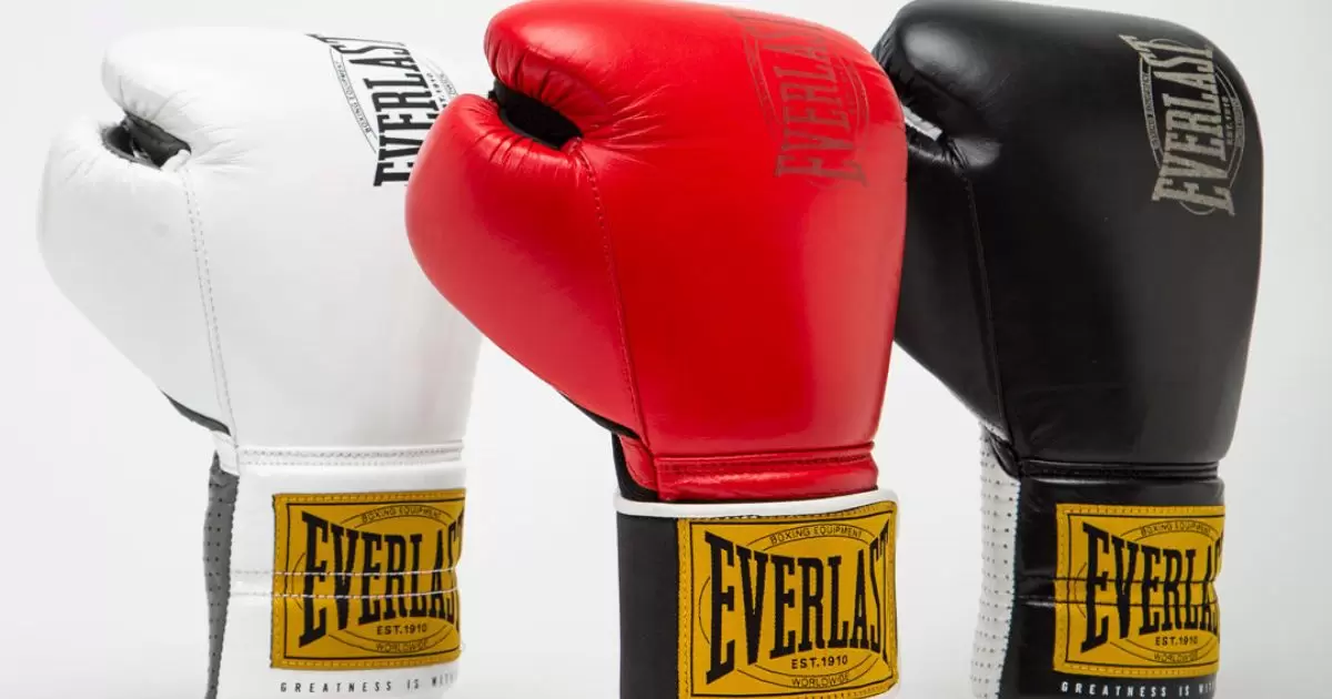 Everlast Boxing Gloves