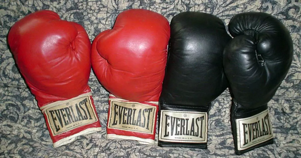 Types of Everlast Boxing Gloves