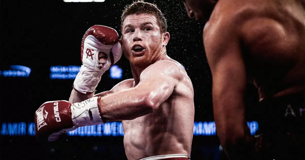 What Boxing Gloves Does Canelo Use?