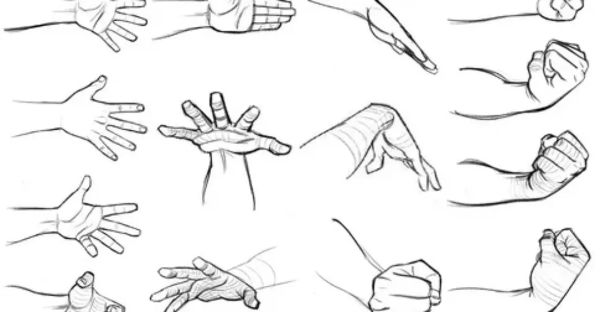 Drawing the Fingers and Knuckle Sections