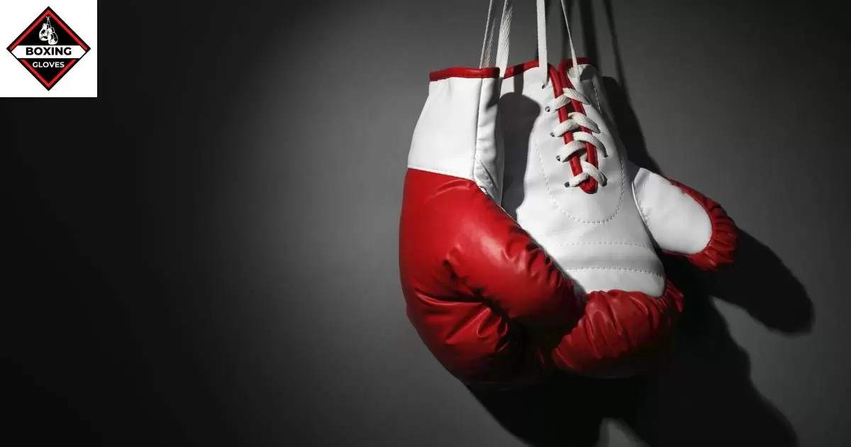 Factors That Influence Boxing Glove Sizing