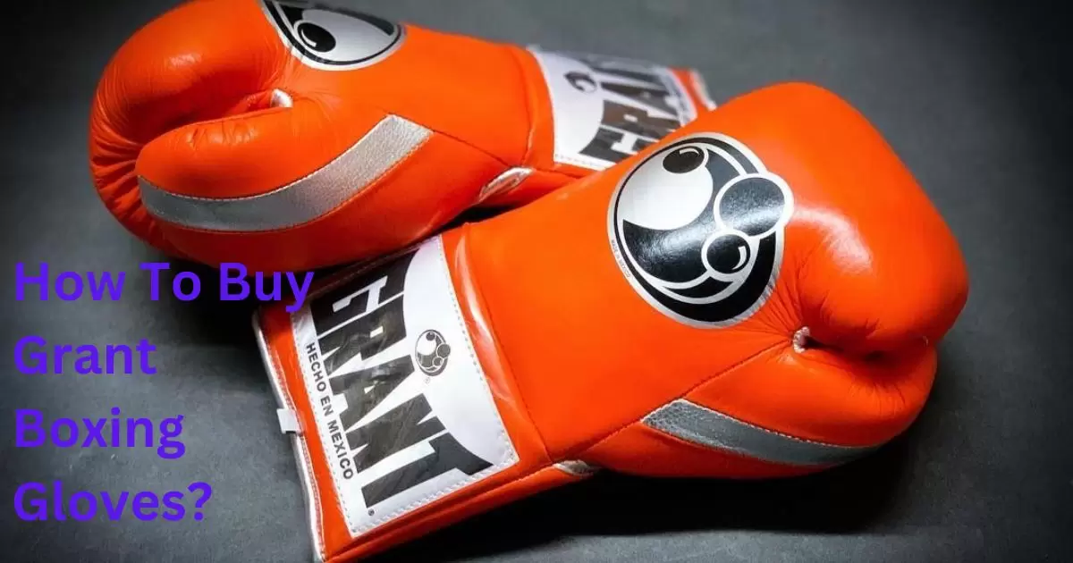 How To Buy Grant Boxing Gloves?