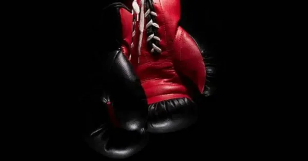 The Role of Boxing Gloves