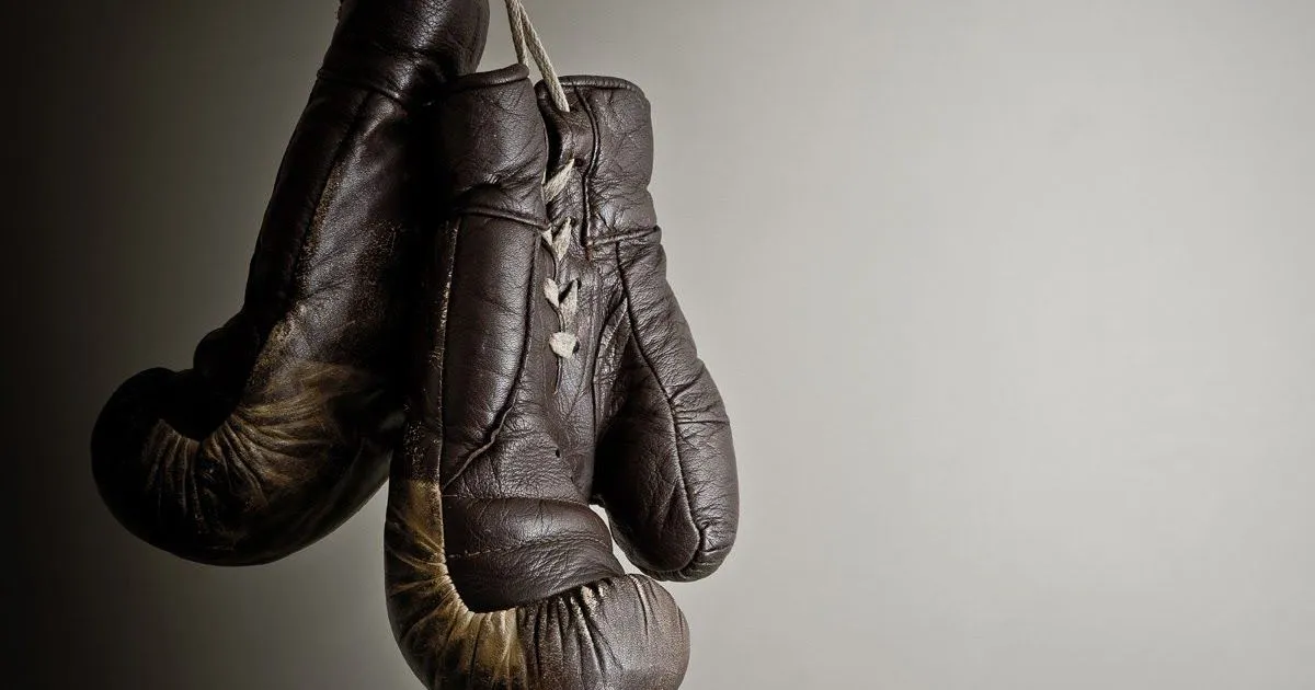 Dissecting the Layers of Boxing Gloves 